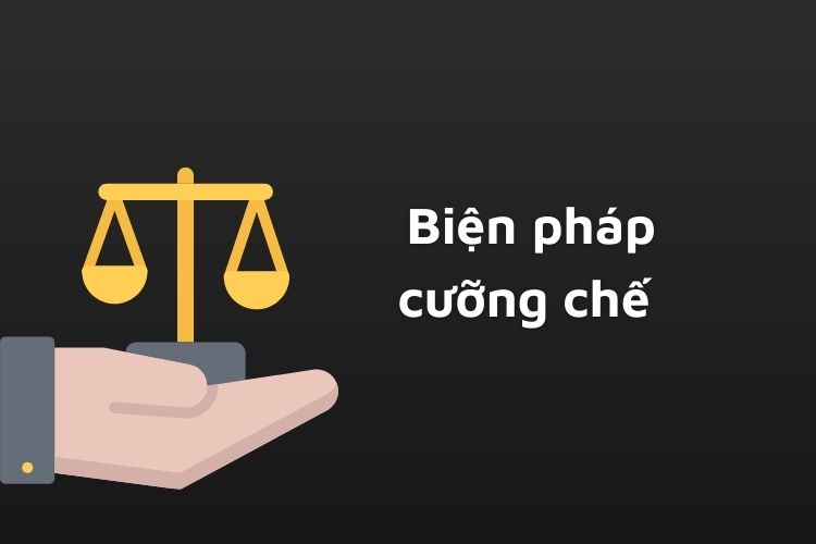 Những biện pháp cưỡng chế trong tố tụng hình sự